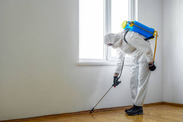  New Wilmington, PA Pest Control Pros