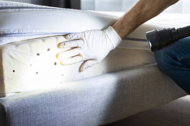 Best Insect Control  in New Wilmington, PA