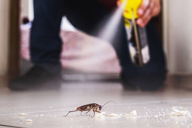 Best Pest Control for Homes  in New Wilmington, PA