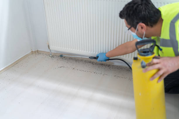 Best Pest Prevention Services  in New Wilmington, PA